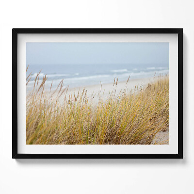 Obraz s rámem Krajina přímořské pláže a trávy