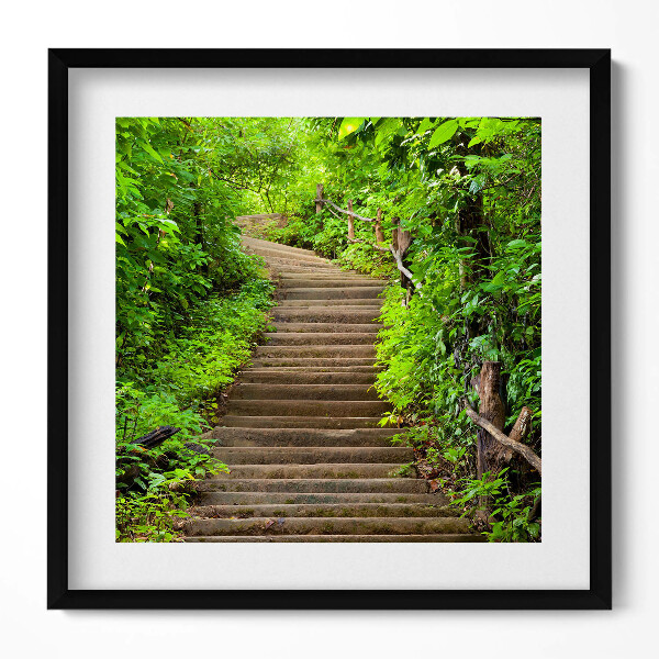Obraz v rámu efektivní Schody uprostřed lesa