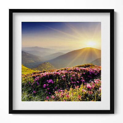 Obraz v rámu efektivní Hory a květinová louka
