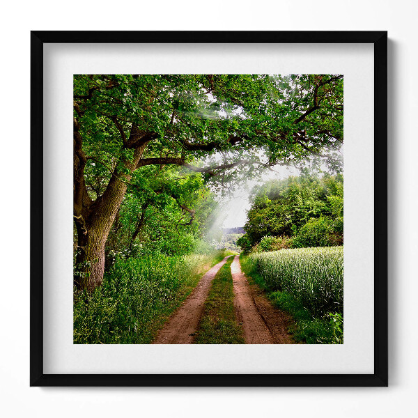 Obraz v rámu efektivní Cesta, stromy a sluneční paprsky