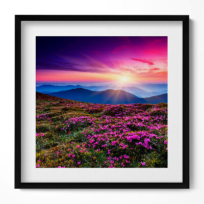 Obraz v rámu efektivní Východ slunce květiny