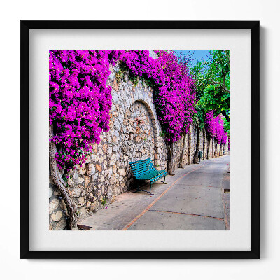 Obraz v rámu efektivní Cesta s květinami v Capri, Itálie