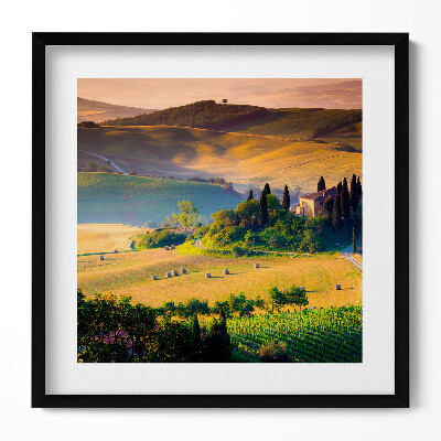 Obraz v rámu efektivní Útulná letní krajina polí