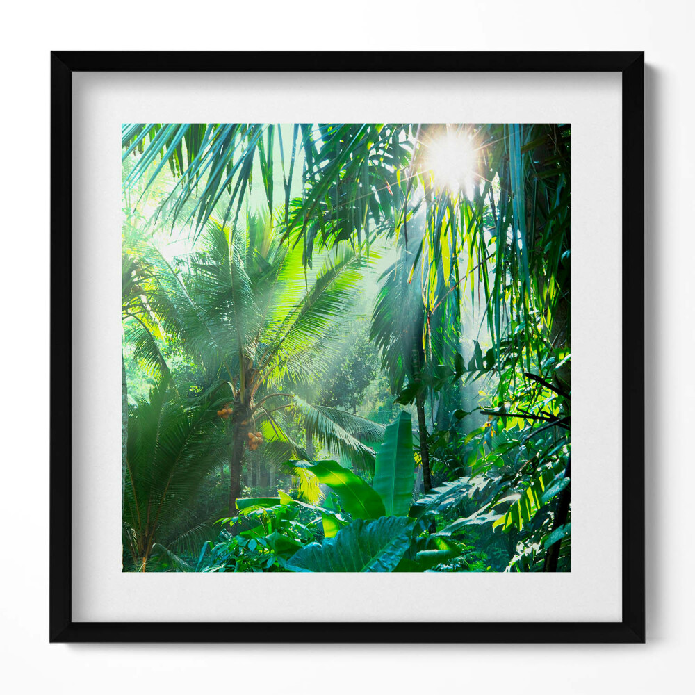 Obraz v rámu efektivní Zelená džungle plná rostlin
