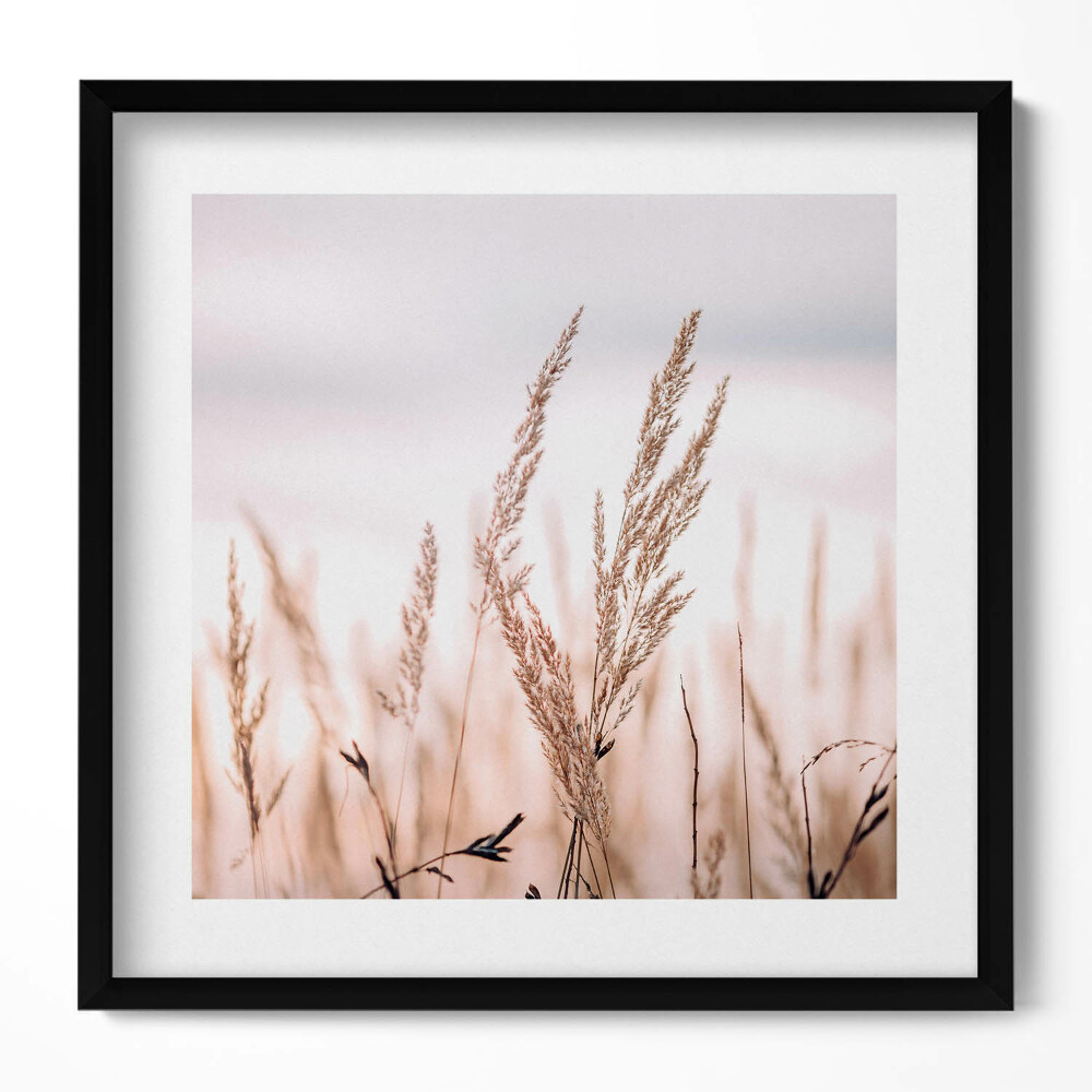 Obraz v rámu efektivní Přírodní tráva boho styl