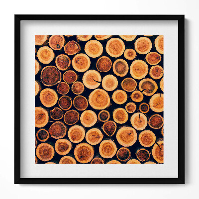 Obraz v rámu efektivní Dřevo, pařezy