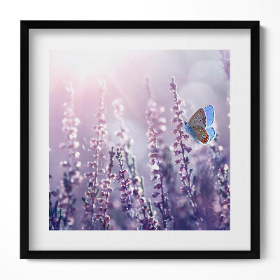 Obraz v rámu efektivní Motýl na divokých květinách