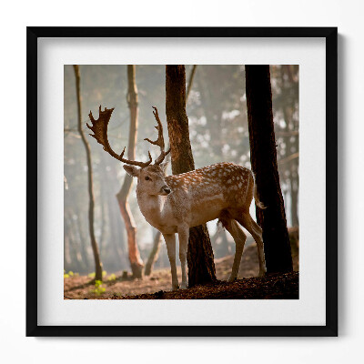 Obraz v rámu efektivní Jelen v záři vycházejícího slunce