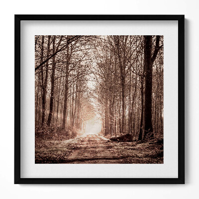 Obraz v rámu efektivní Lesní cesta v sépiových barvách