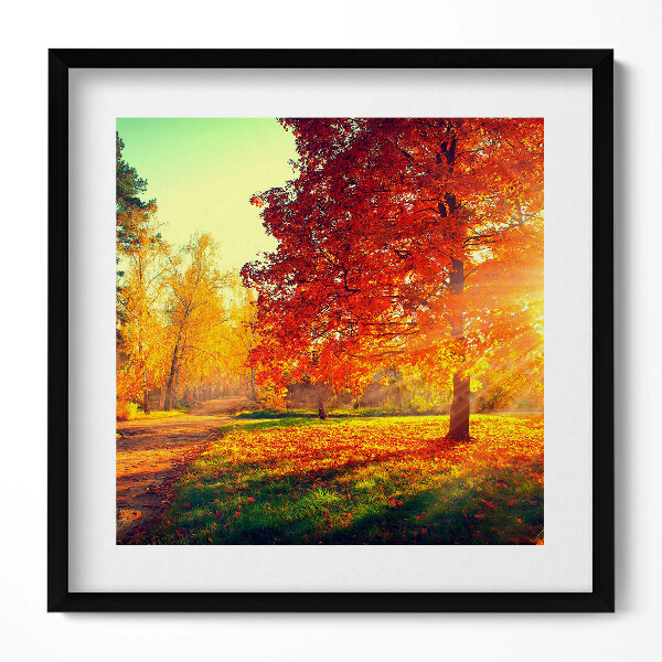 Obraz v rámu efektivní Podzimní park