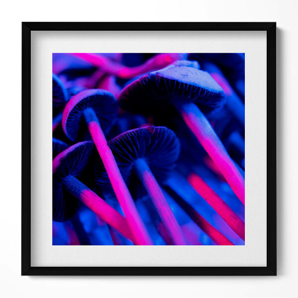 Obraz v rámu efektivní Kouzelné barevné houby