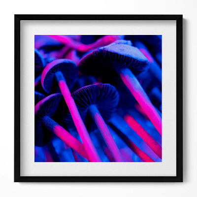 Obraz v rámu efektivní Kouzelné barevné houby