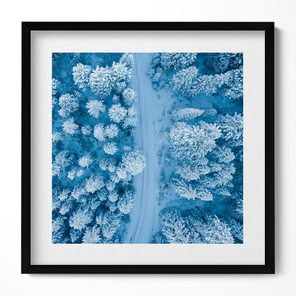 Obraz v rámu efektivní Les z ptačí perspektivy