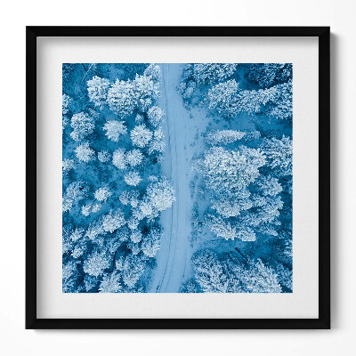 Obraz v rámu efektivní Les z ptačí perspektivy