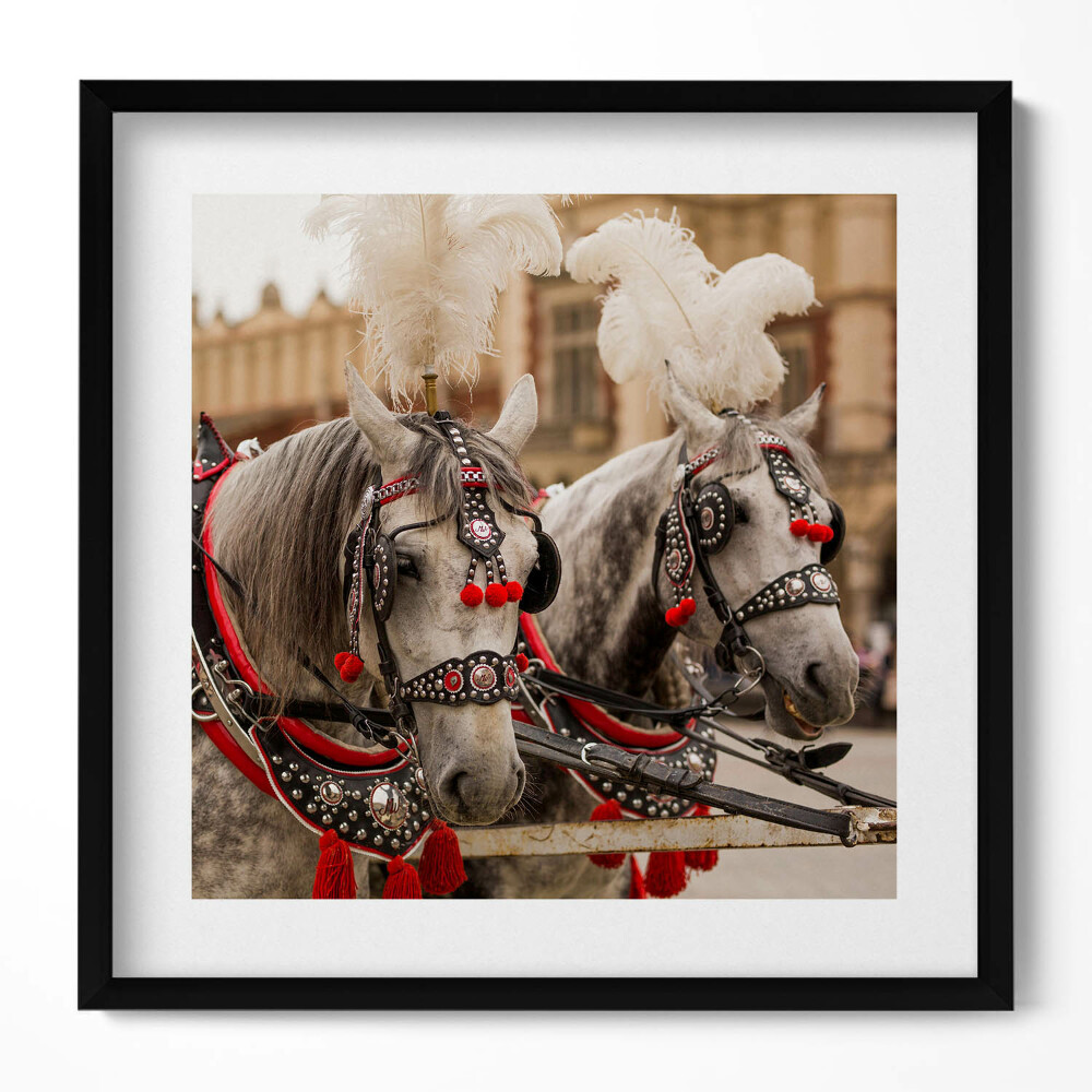 Obraz v rámu efektivní Krásní koně v Krakově