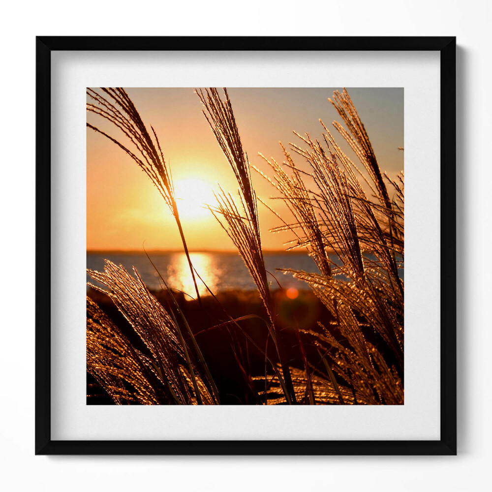 Obraz v rámu efektivní Pšenice ve Zlaté hodině