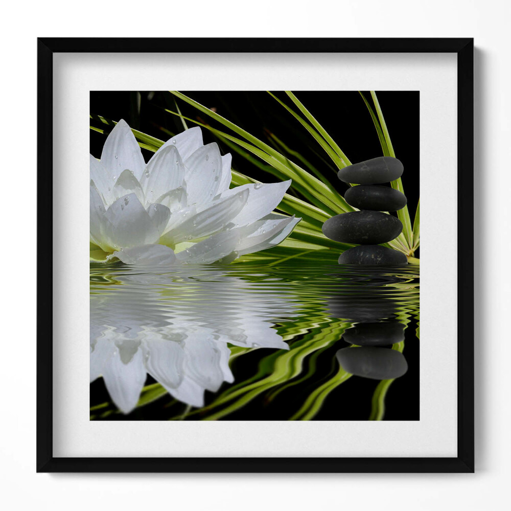 Obraz v rámu efektivní Leknín a listy