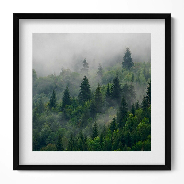 Obraz v rámu efektivní Lesní krajina v mlze