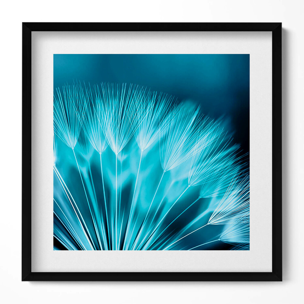 Obraz v rámu efektivní Detailní záběr na pampelišku