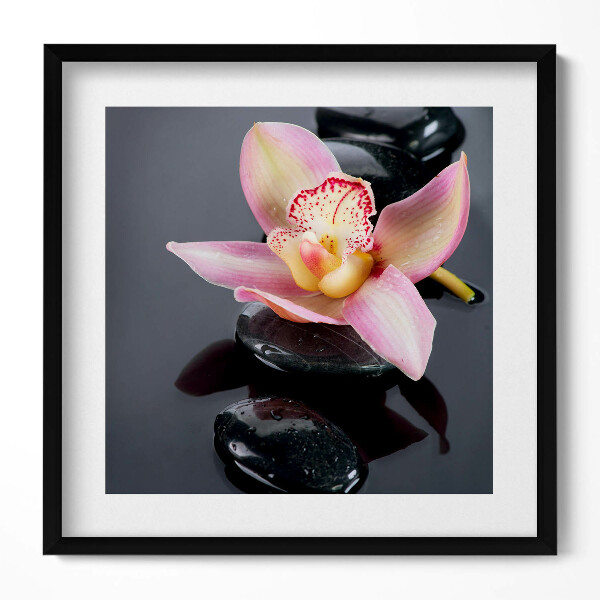 Obraz v rámu efektivní Květina na kamenech ve vodě