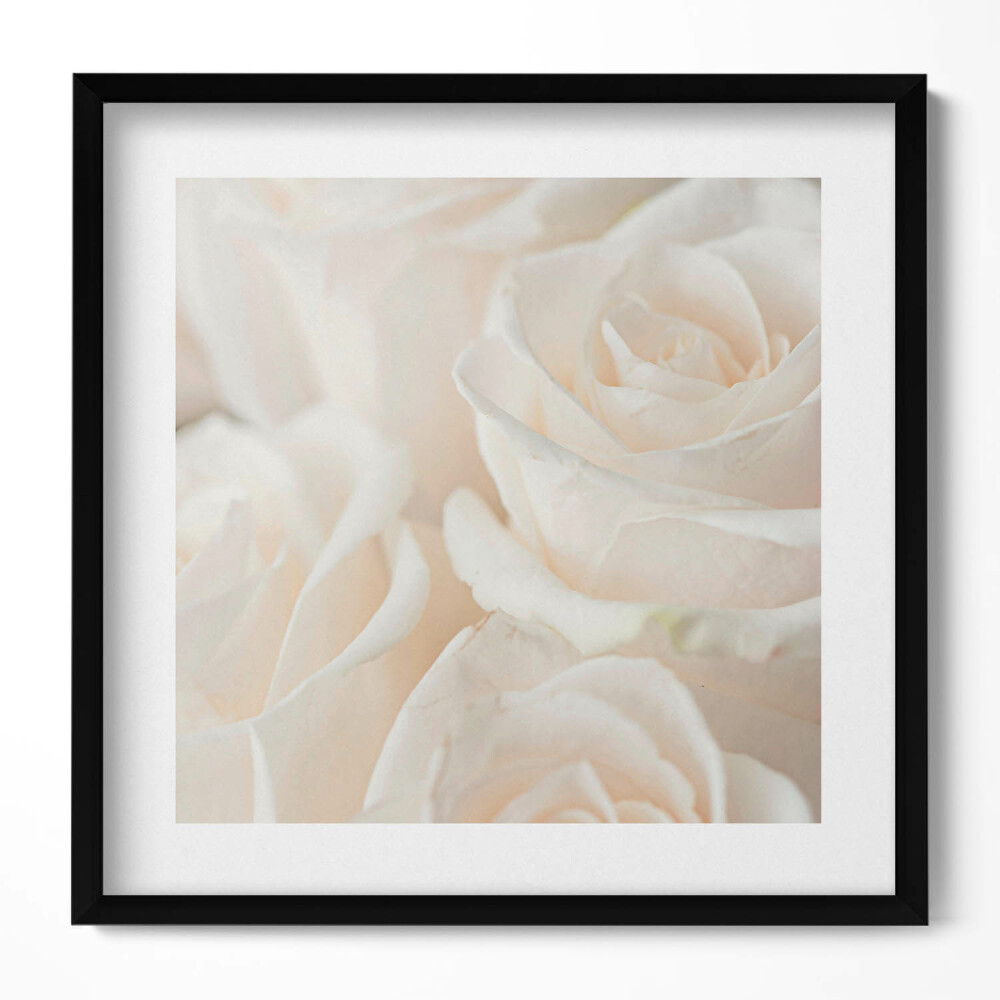 Obraz v rámu efektivní Bílé jemné různé