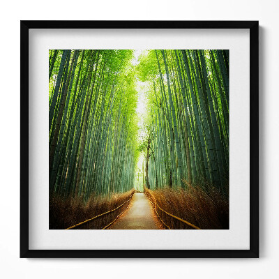 Obraz v rámu efektivní Bambusový les Arashiyama Kjóto Japonsko