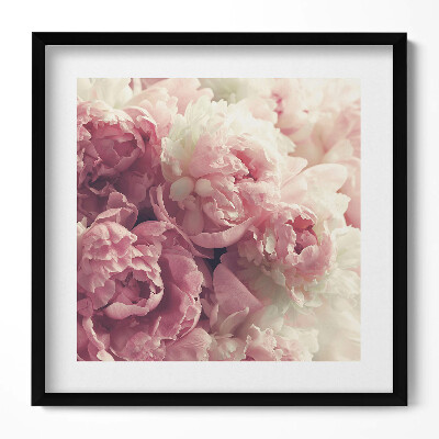 Obraz v rámu efektivní Jemné květy pivoňky