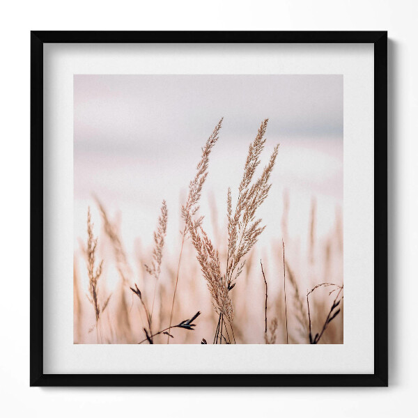 Obraz v rámu efektivní Boho romantická krajina jemných travin