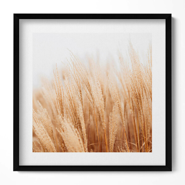 Obraz v rámu efektivní Krajina jemných boho trav