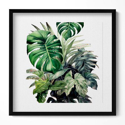 Obraz v rámu efektivní Malované listy monstera