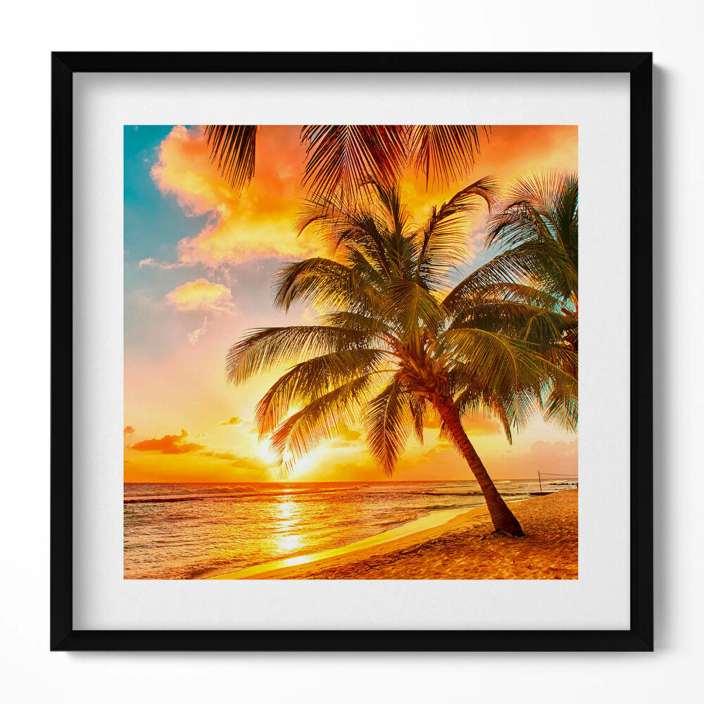 Obraz v rámu efektivní Palma na pláži při západu slunce