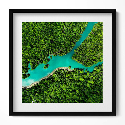 Obraz v rámu efektivní Řeka v tropických lesích z ptačí perspektivy