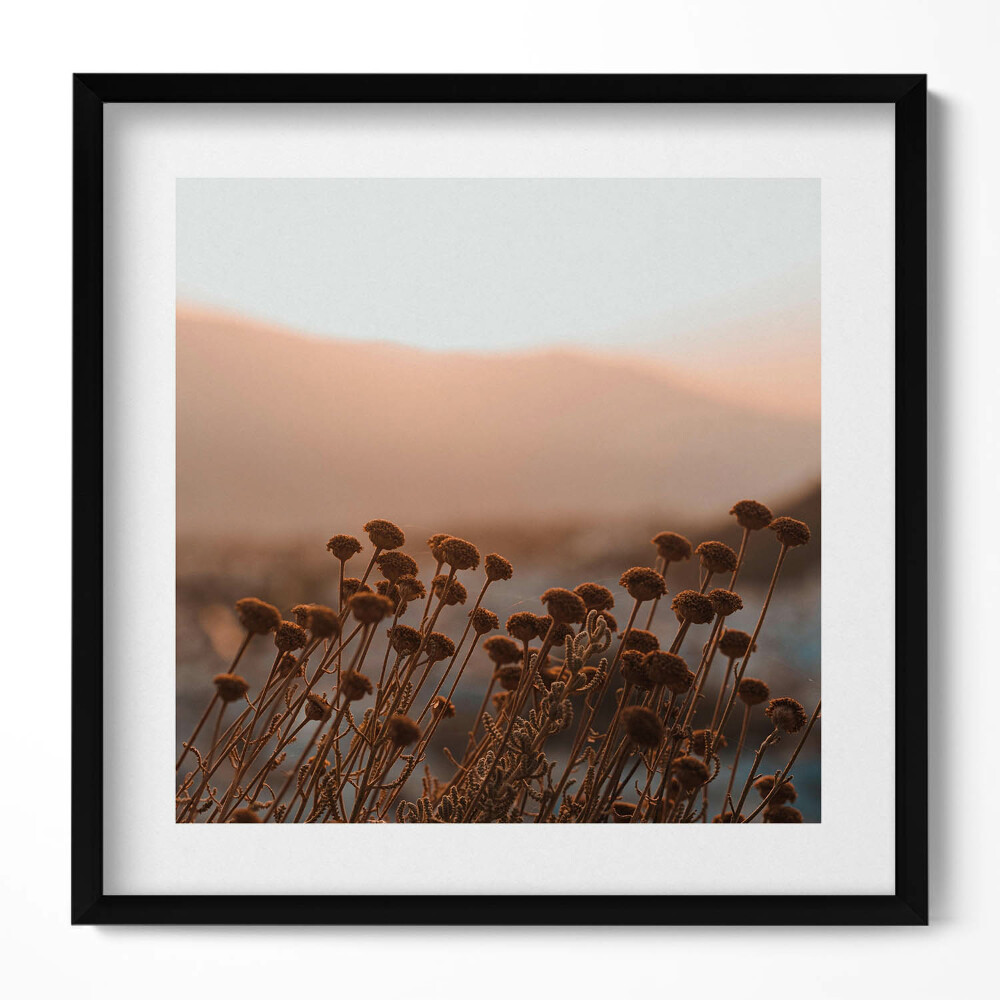 Obraz v rámu efektivní Boho romantická tráva krajina