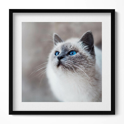 Obraz v rámu efektivní Klidná krajina zimního jezera