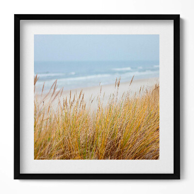 Obraz v rámu efektivní Krajina přímořské pláže a trávy