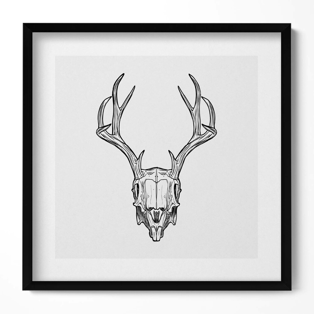 Obraz v rámu efektivní Skica jelení lebky s rohy