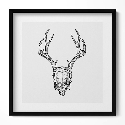 Obraz v rámu efektivní Skica jelení lebky s rohy