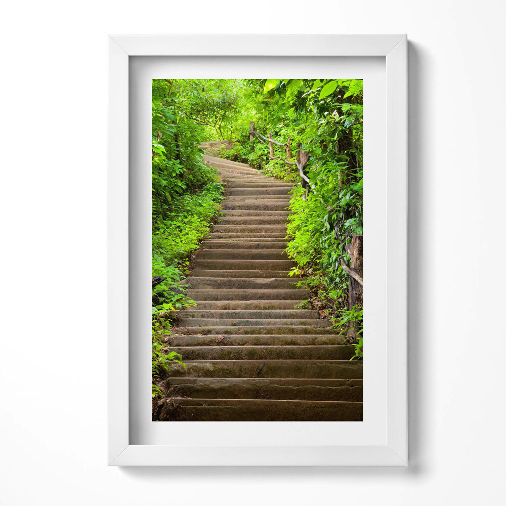 Obraz s rámem elegantní Schody uprostřed lesa