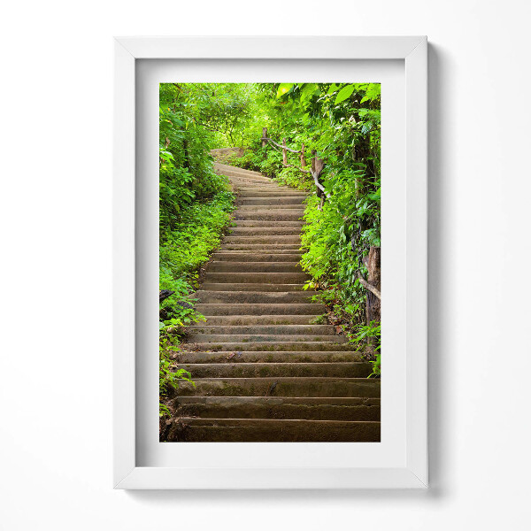 Obraz s rámem elegantní Schody uprostřed lesa