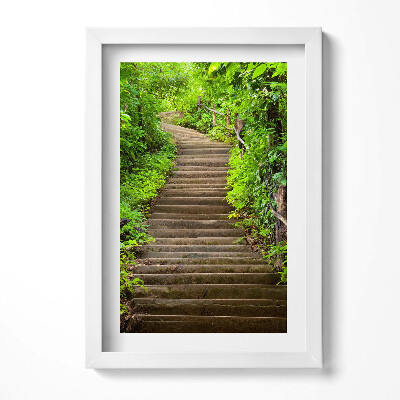 Obraz s rámem elegantní Schody uprostřed lesa