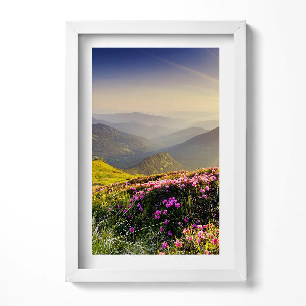 Obraz s rámem elegantní Hory a květinová louka