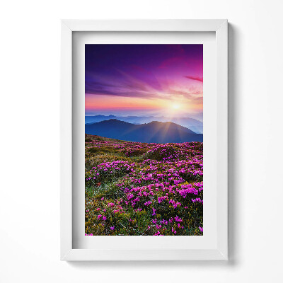 Obraz s rámem elegantní Východ slunce květiny