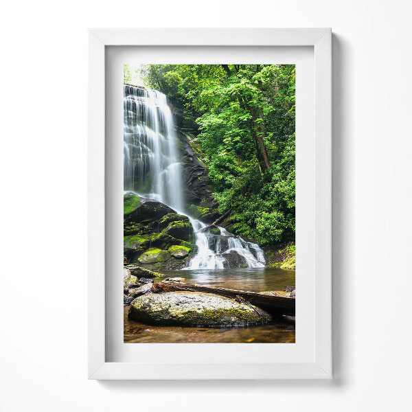 Obraz s rámem elegantní Lesní vodopád