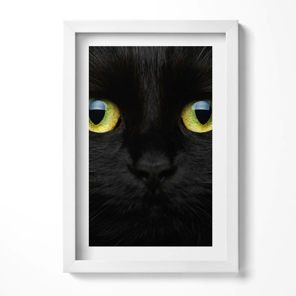 Obraz s rámem elegantní Zvířecí kočičí oči