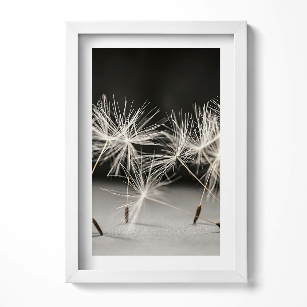 Obraz s rámem elegantní Jemný pyl pampelišky