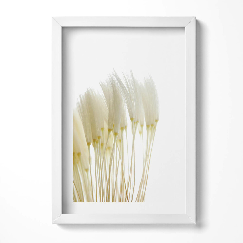 Obraz s rámem elegantní Bílé jemné trávy