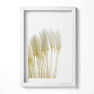 Obraz s rámem elegantní Bílé jemné trávy