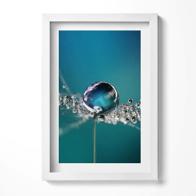 Obraz s rámem elegantní Kapka rosy na pampelišce