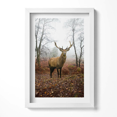 Obraz s rámem elegantní Jelen v lese na podzim
