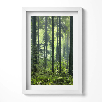 Obraz s rámem elegantní Krajina stromů a lesní vegetace